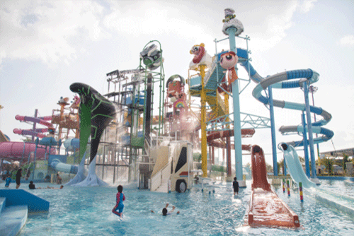 Live Cam Streaming For Beach Surf, Zoo Aquarium